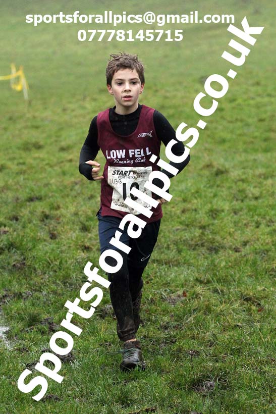 Boys under-13s, NECAA Junior Cross Country Relays, Thornley Farm, Peterlee, Saturday, December 12th. Photo: David T. Hewitson/Sports for All Pics